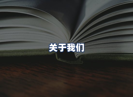 关于我们